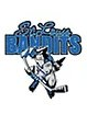 Team affiliation logo