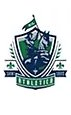 Team affiliation logo