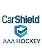 Team affiliation logo